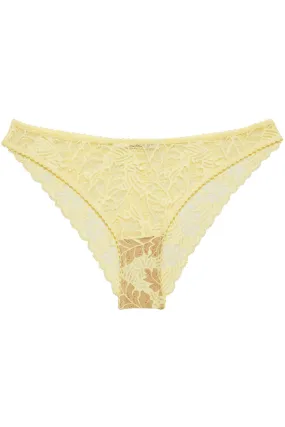 Gina Brazilian Brief