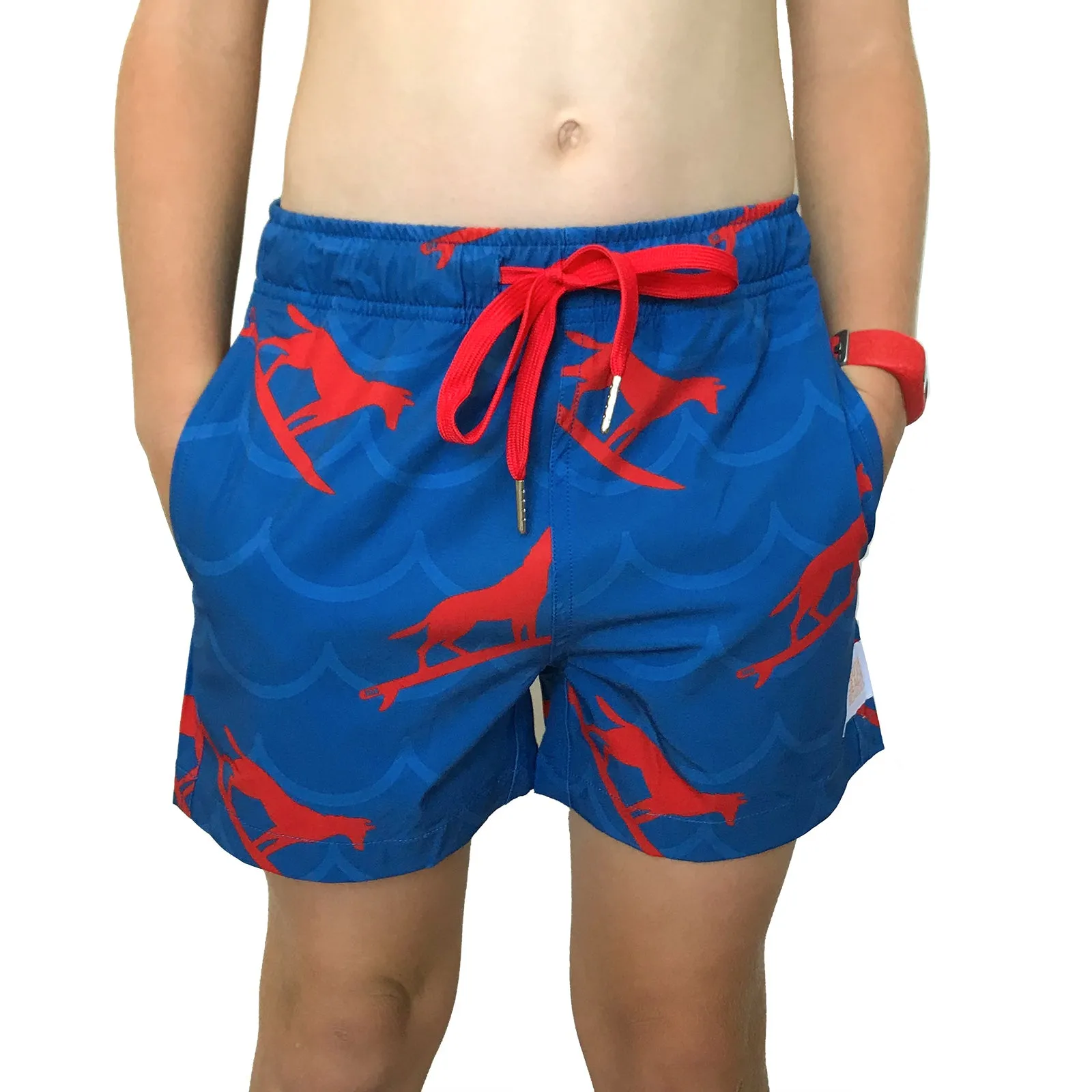 Kids Stretchy Trunks: Dingo Took My Boardies 3.0 Wavy