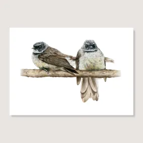 SALE - Cheeky Fantails print A4