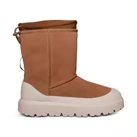 UGG Classic Short Weather Hybrid Chestnut / Whitecap - All Gender